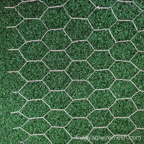 Mesh de fil hexagonal galvanisé